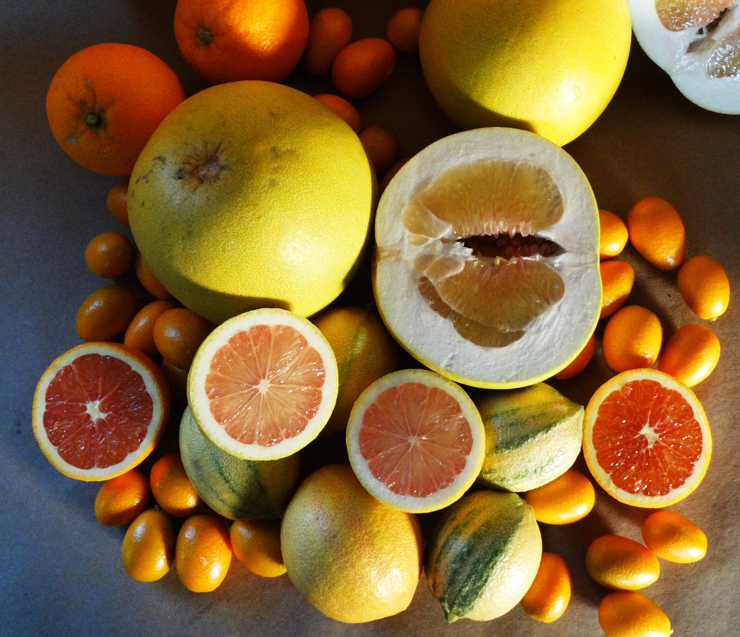 Still Growing! | Winter Bundle