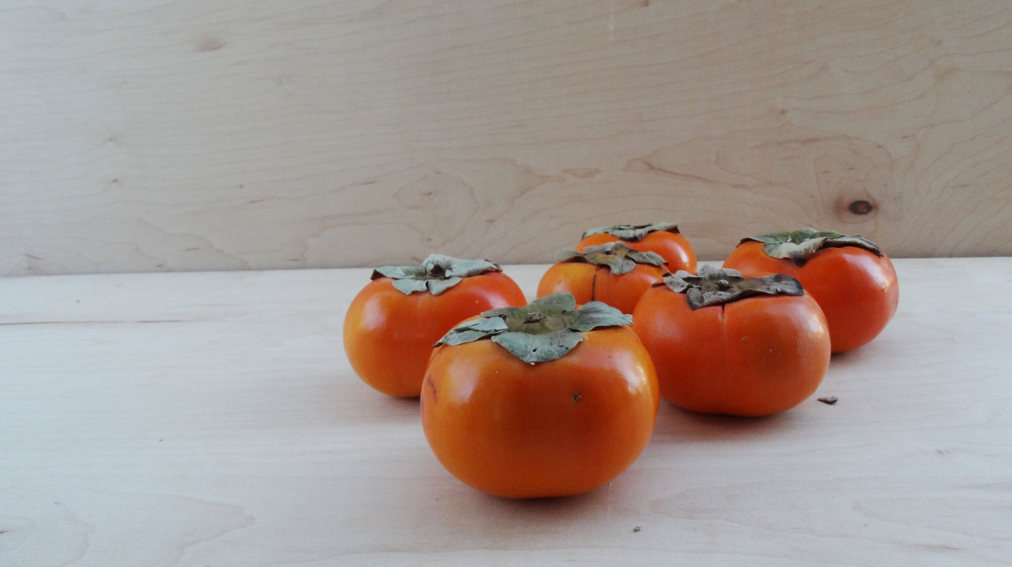 Still Growing | Fuyu Persimmons