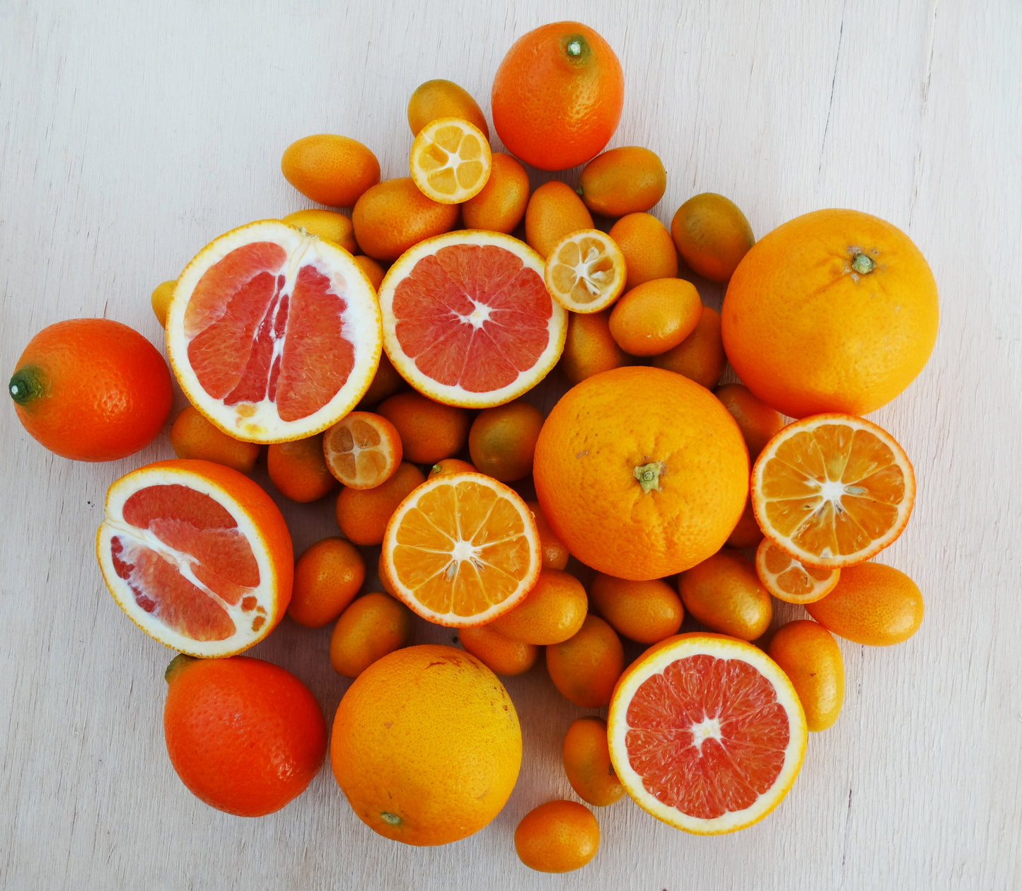 Still Growing! | Citrus Bundle