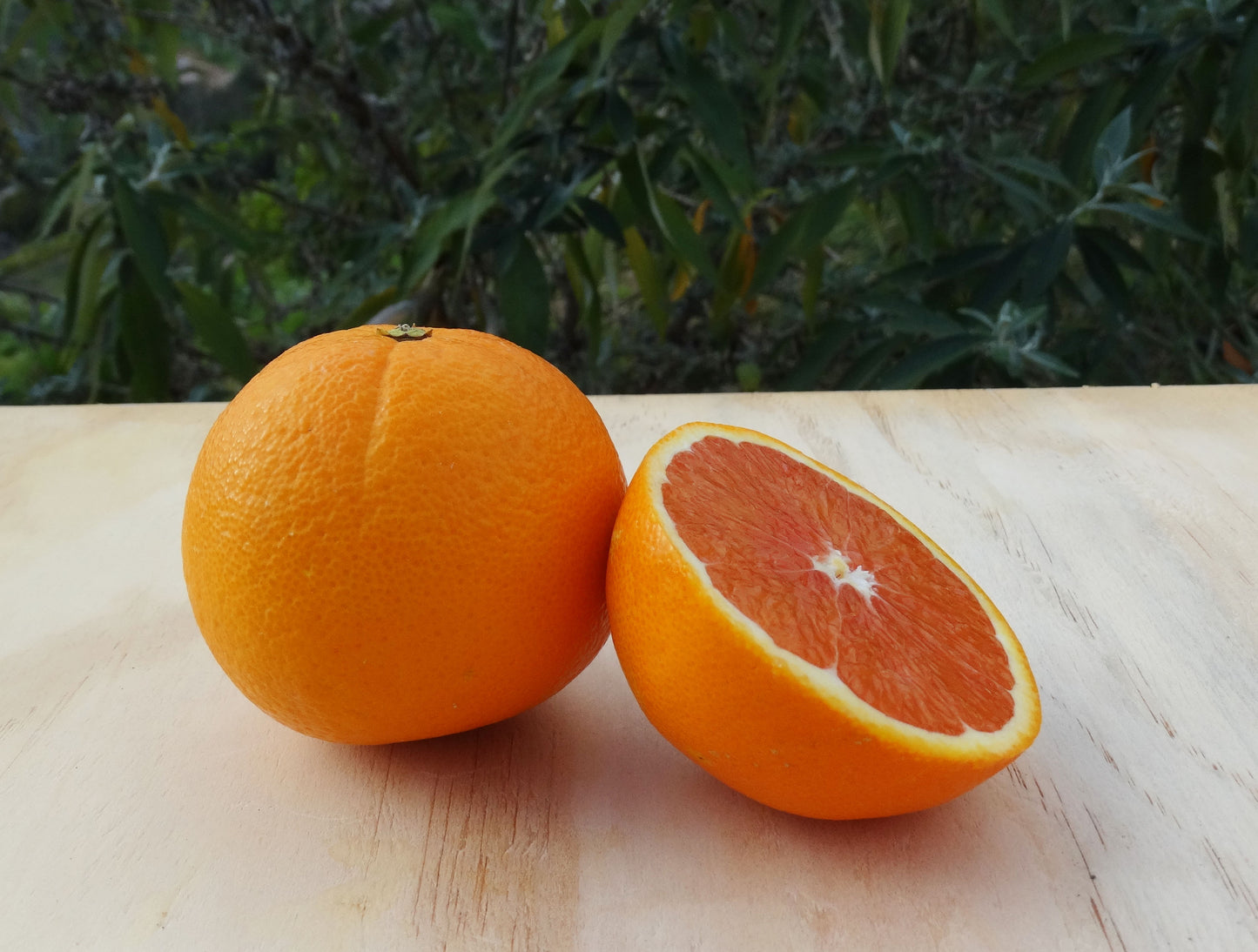 Cara Cara Oranges