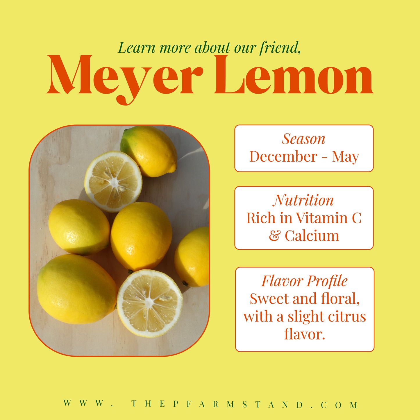 Still Growing! | Meyer Lemons