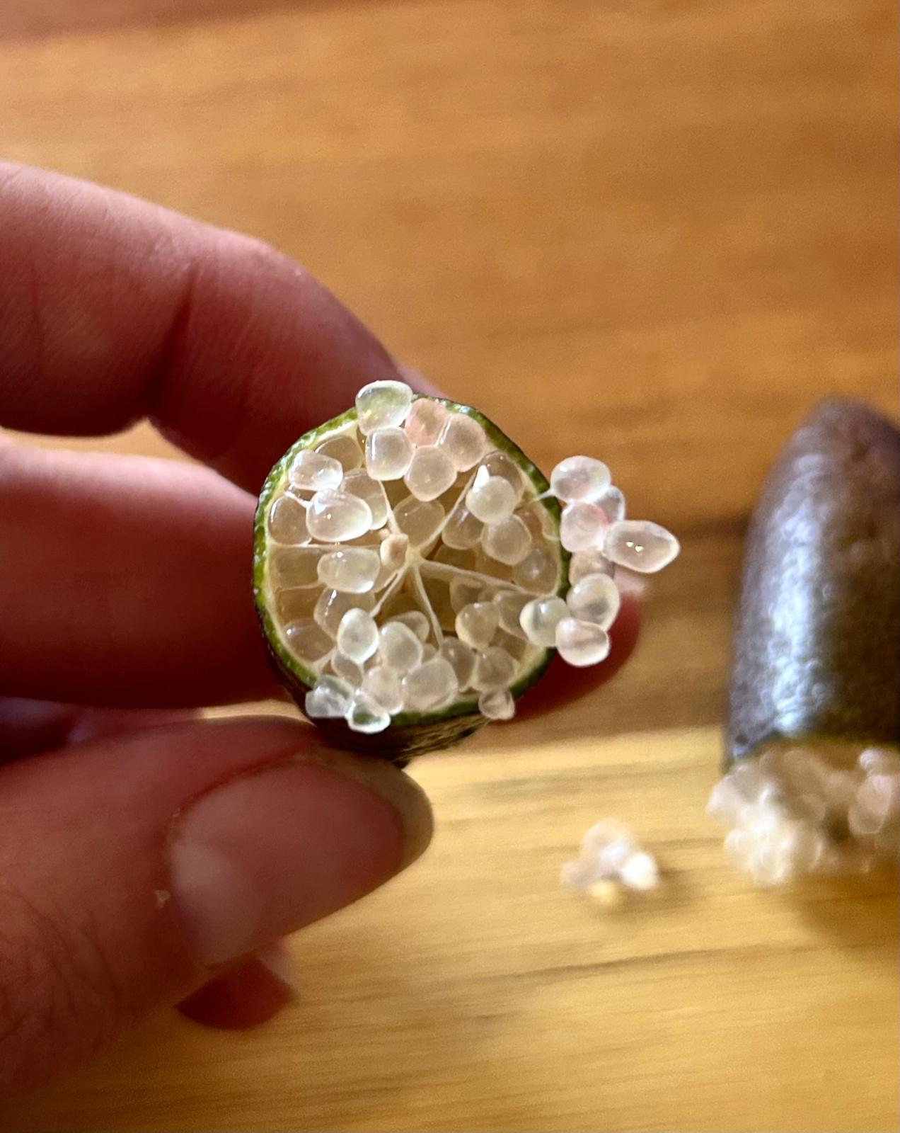 In Season Now! | Finger Limes