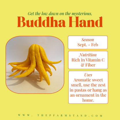 Still Growing!| Pre- Order Buddha Hand