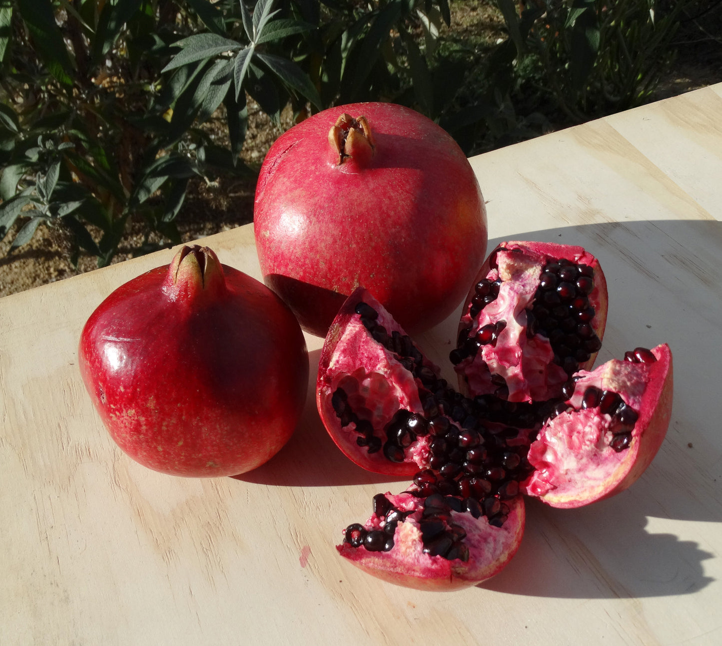 Pomegranates