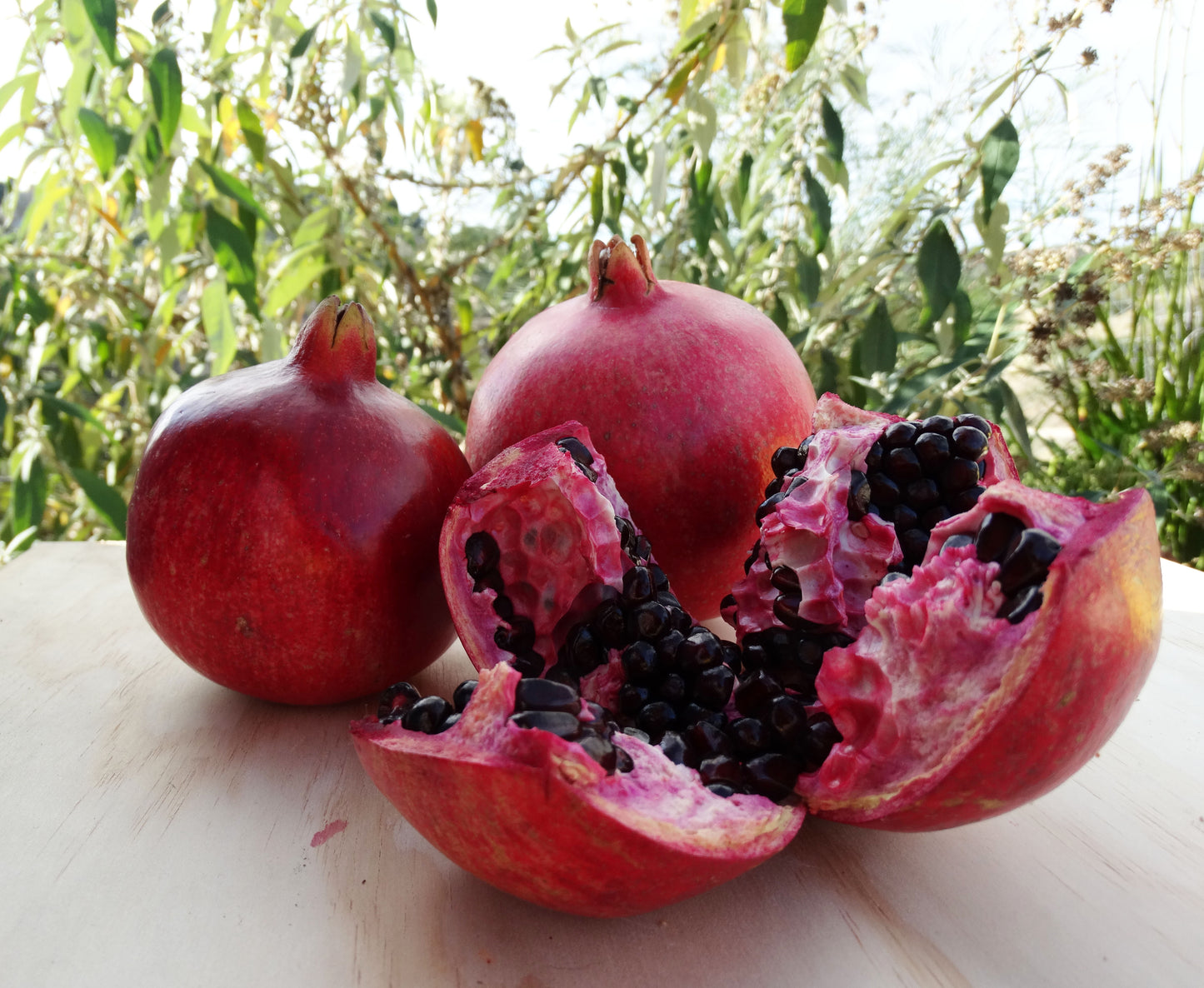 Pomegranates