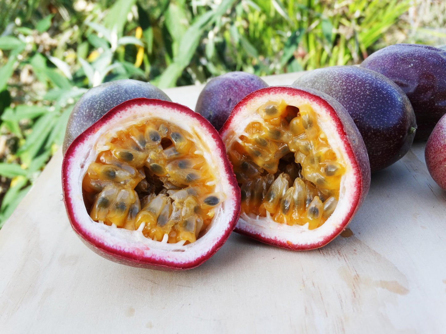 Passion Fruit | In Season Now!