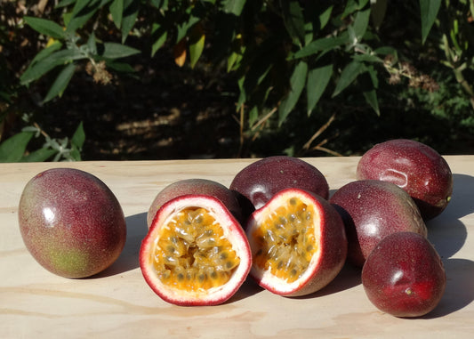 Passion Fruit | In Season Now!