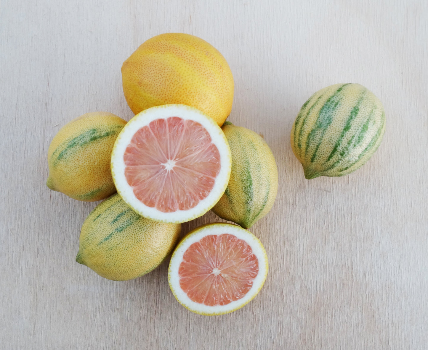 Pink Variegated Lemons – The Pfarmstand