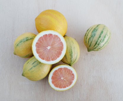 Pink Variegated Lemons