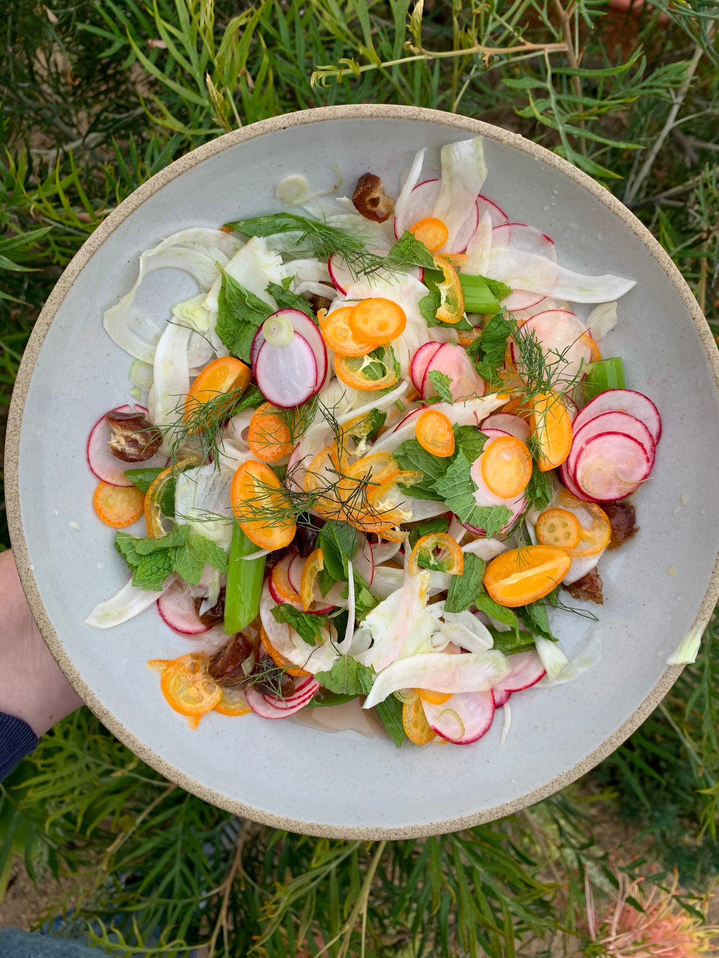 In Season Now! | Kumquats