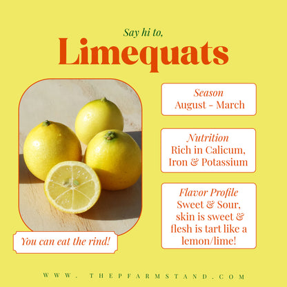 Still Growing! | Pre-Order Limequats