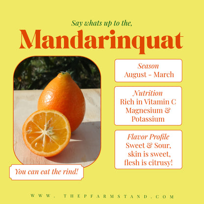 Still Growing! | Pre - Order Mandarinquats