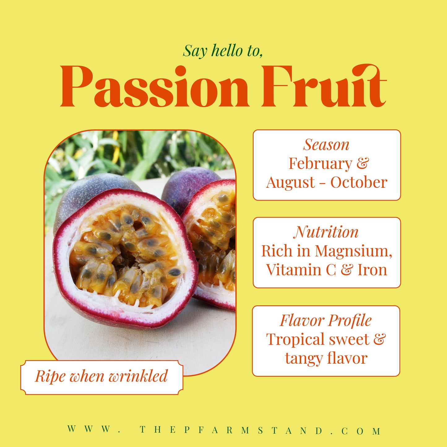 Passion Fruit | In Season Now!