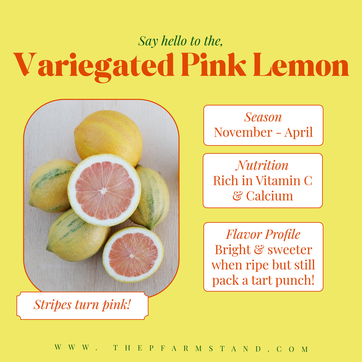 Lemon Inpo Pink Variegated Lemons – The Pfarmstand