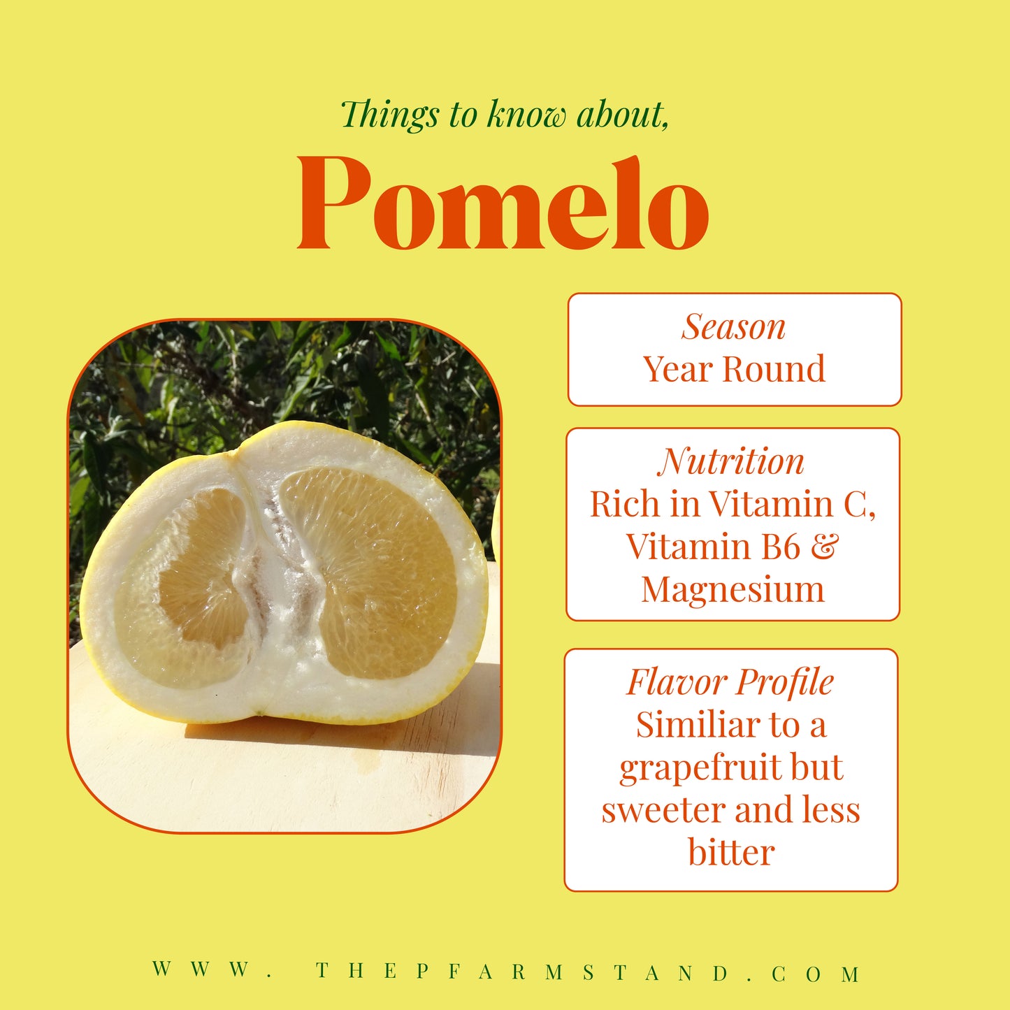 Still Growing! | Pre - Order Pomelos